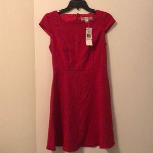 French Connection dress
